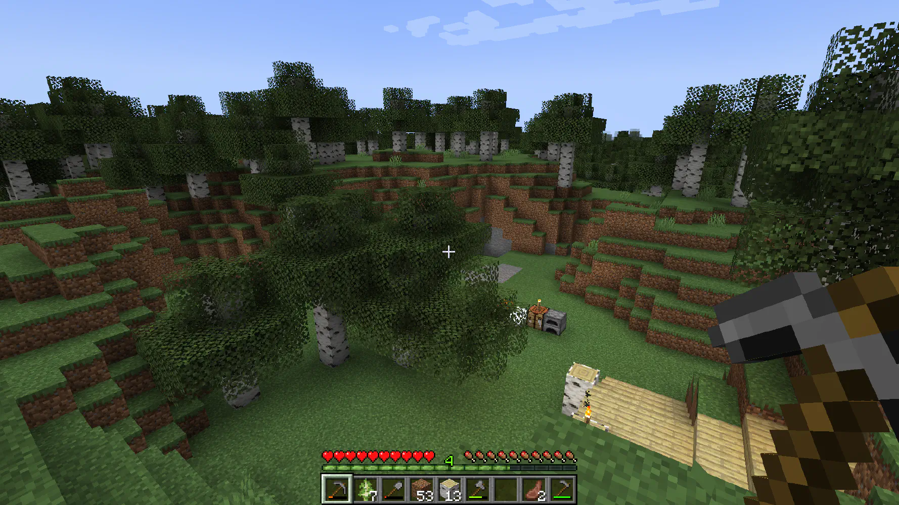 Capture d'écran du jeu Minecraft sur une partie en survie.